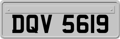 DQV5619