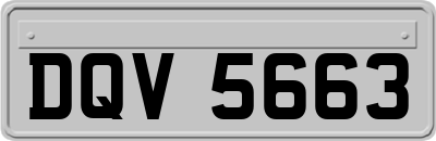 DQV5663