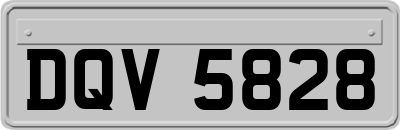 DQV5828