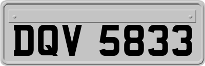 DQV5833