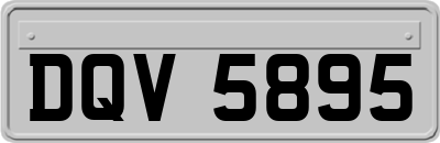 DQV5895