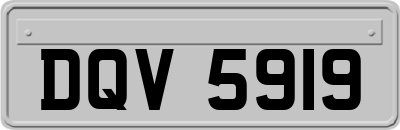 DQV5919