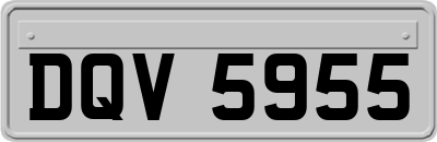 DQV5955