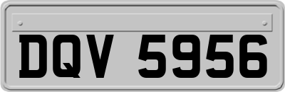 DQV5956