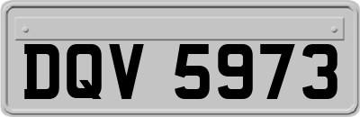 DQV5973