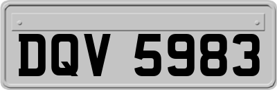 DQV5983