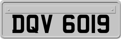 DQV6019