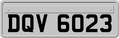 DQV6023