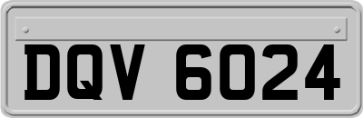 DQV6024