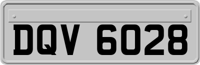 DQV6028
