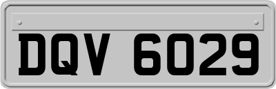 DQV6029
