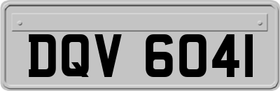 DQV6041