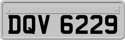 DQV6229