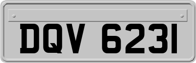 DQV6231