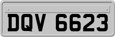 DQV6623