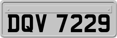 DQV7229