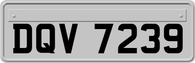 DQV7239