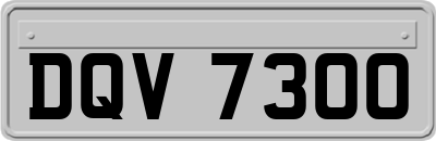 DQV7300