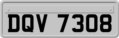 DQV7308