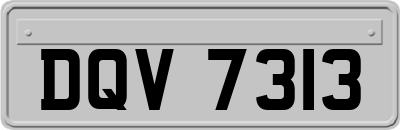 DQV7313