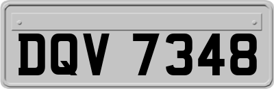 DQV7348