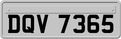 DQV7365
