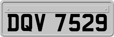 DQV7529