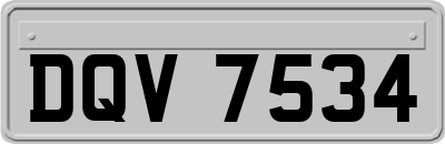 DQV7534