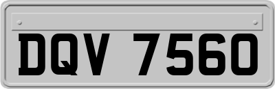 DQV7560