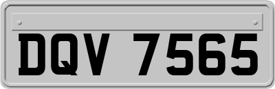 DQV7565