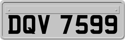 DQV7599