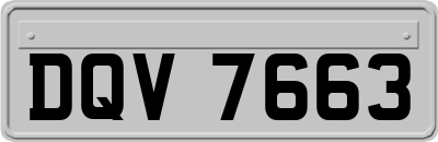 DQV7663