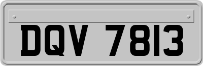 DQV7813