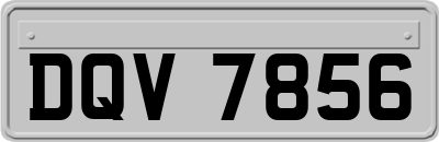 DQV7856