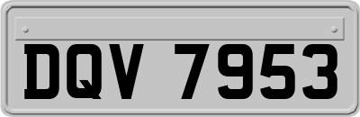 DQV7953