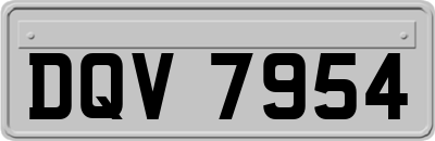 DQV7954