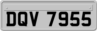 DQV7955