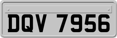 DQV7956