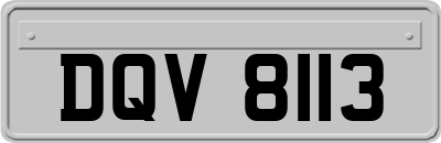 DQV8113