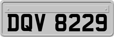 DQV8229
