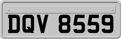 DQV8559