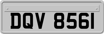 DQV8561