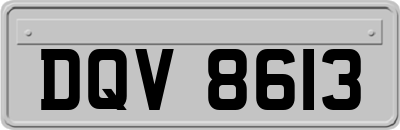 DQV8613