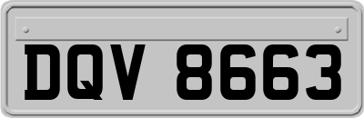DQV8663