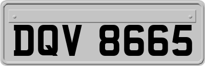 DQV8665