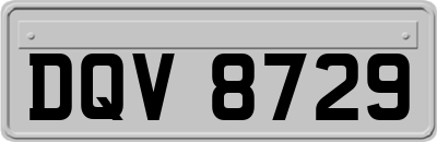 DQV8729