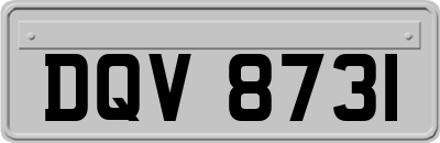DQV8731