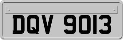 DQV9013