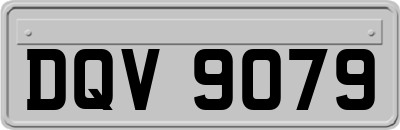 DQV9079