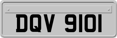 DQV9101